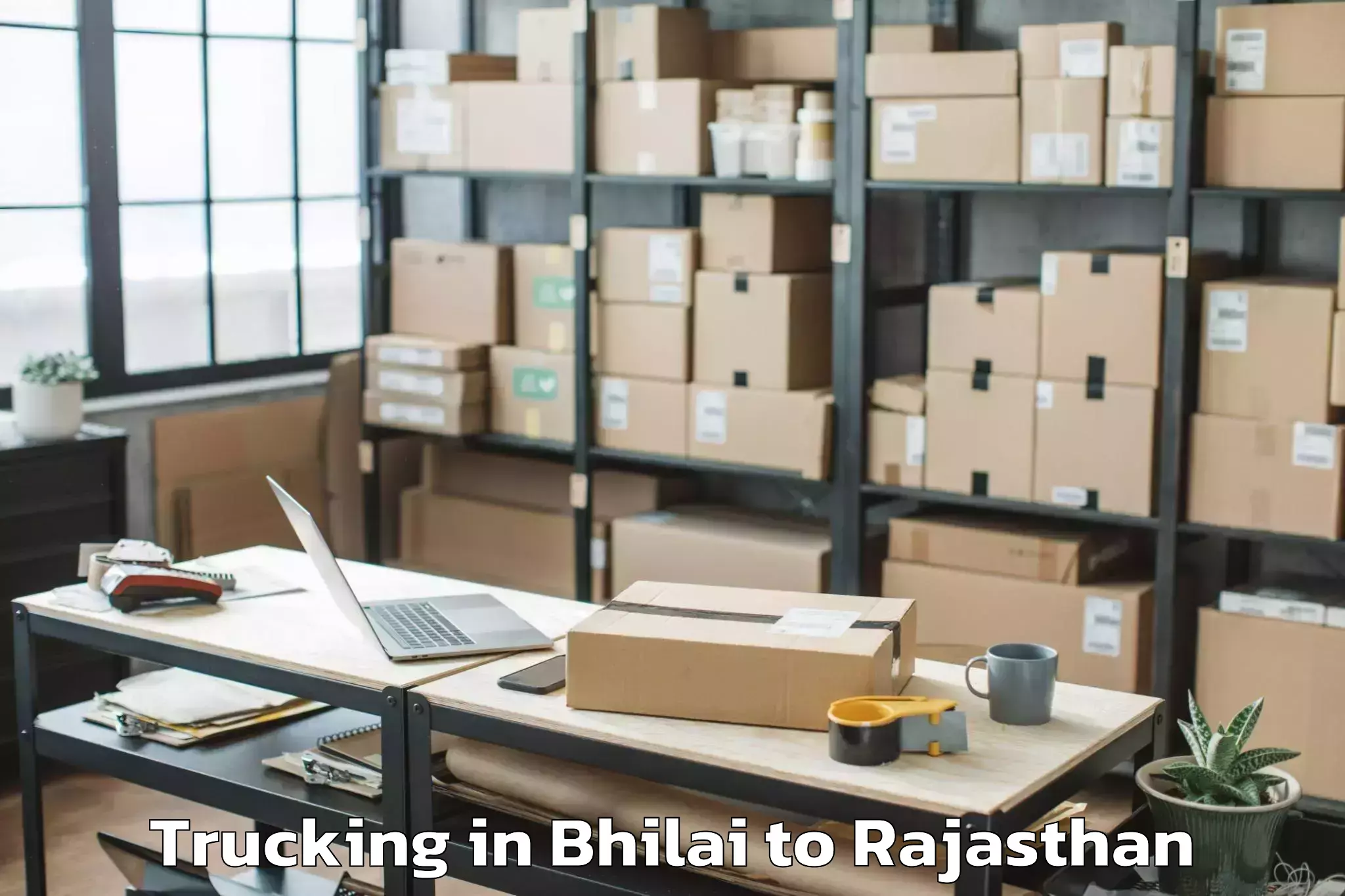 Hassle-Free Bhilai to Malsisar Trucking